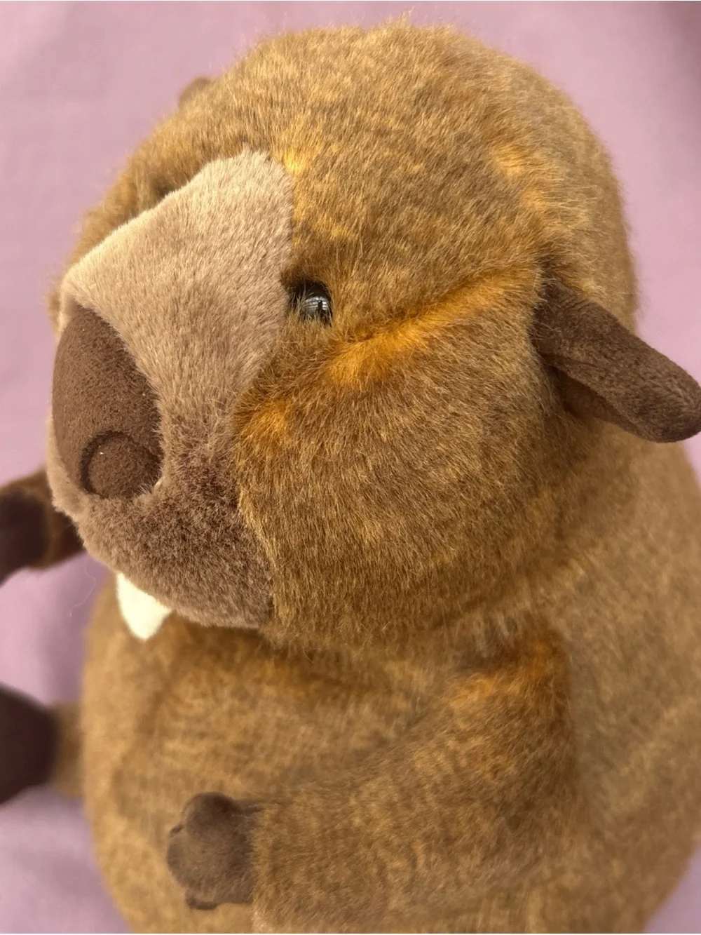Exclusive Jellycat BRIGGS BEAVER Canada NWT brown softy HTF